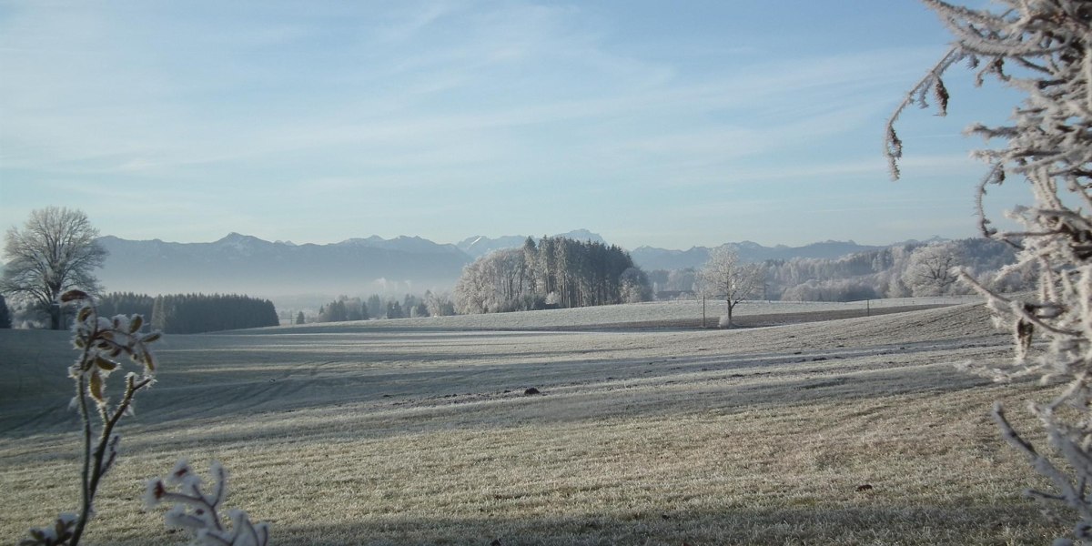 DSCF0624