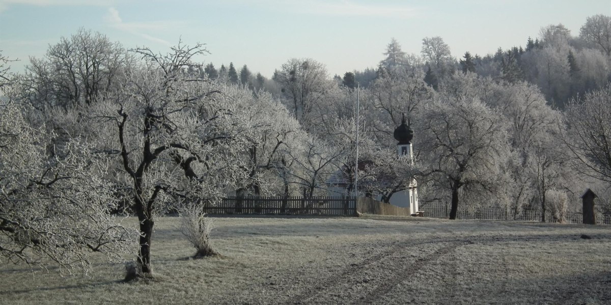 DSCF0629